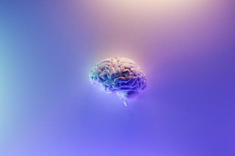 brain fog-web brain fog-web